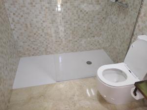 a bathroom with a white toilet and a shower at A Travesía Dos Soños, Pedreiras in Sarria