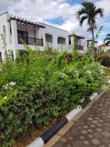 a hedge of plants in front of a house at Almasi beach house in Mtwapa