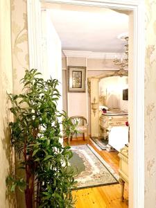 a living room with a potted plant in the doorway at Lovely apartment in Alexandria