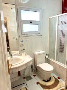 a bathroom with a toilet and a sink and a window at Lovely apartment in Alexandria
