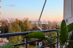 a plant sitting on a balcony with a view of trees at Laurent's Durres apartment in Durrës