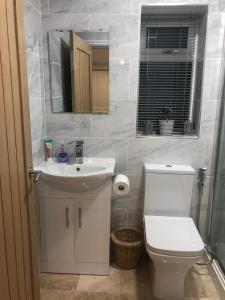 uma casa de banho com um WC, um lavatório e um espelho. em studio flat near NEC, Solihull & Airport. Short & Long stay Contractors HS2, NHS em Solihull