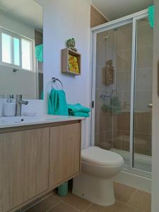 La salle de bains est pourvue d'une douche et de toilettes. dans l'établissement Hogar Entre Viñas, à Casablanca