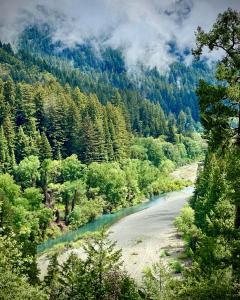 a river in the middle of a forest at Avenue of the Giants River View Home (#1) in Miranda