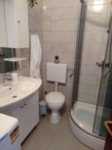 uma casa de banho com um WC, um chuveiro e um lavatório. em Apartments with a parking space Slime, Omis - 22826 em Omiš
