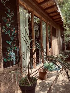 ein Haus mit zwei Topfpflanzen auf einer Veranda in der Unterkunft Eco cabaña Tierra Fértil in Santa Ana