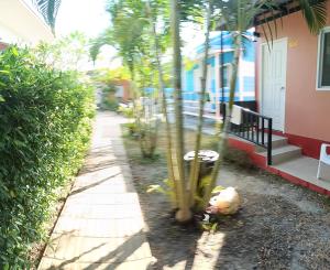a palm tree planted in the sidewalk next to a house at Chill land house in Bang Tao Beach