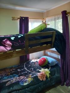 1 dormitorio con 2 literas y 1 cama verde en Cabaña Encantos del Mar, en Cáhuil