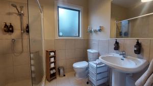 een badkamer met een toilet, een wastafel en een douche bij Country Lodge Kinloch in Taupo