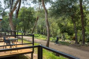 a person walking in a park with benches and trees at Bright Cabin Park in Bright