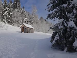 a small wooden cabin in a snow covered forest at La basse Molune in La Pesse