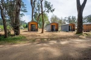two modular homes in a field with trees at Bright Cabin Park in Bright