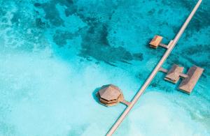 Fotografie z fotogalerie ubytování Jawakara Islands Maldives v destinaci Lhaviyani Atoll