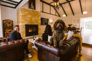 Pet-Friendly Highlands Home with Fireplace في بوندانون: وجود كلب يجلس على أريكة جلدية في غرفة المعيشة