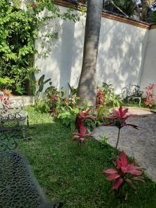 einen Garten mit roten Blumen vor einem Baum in der Unterkunft Hotel Boutique Edén Cuernavaca in Cuernavaca