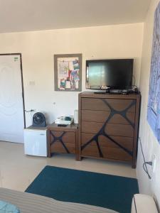 TV a/nebo společenská místnost v ubytování English owned Homestay and Yoga