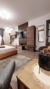 a bedroom with a bed and a tv and a couch at Cuza 21 in Brăila