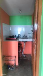 una cocina con paredes de color verde y naranja y fregadero en Heena Guest House, en Dharamshala