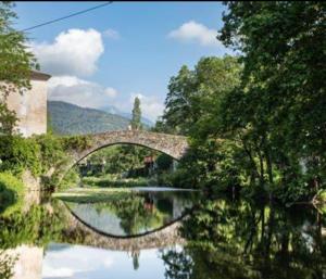 un puente de piedra sobre un río con árboles y agua en Les randonnées joyeuses en Génolhac