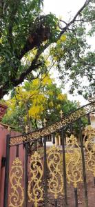 Ảnh trong thư viện ảnh của Souparnika Homestay ở Kannur