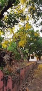 eine Steinmauer mit Bäumen und einem Gebäude in der Unterkunft Souparnika Homestay in Kannur + 2 Fotos