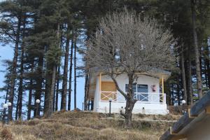 a small house on a hill in the woods at The Deodar Stays in Kanatal