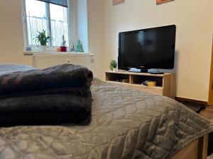 um quarto com uma cama e uma televisão de ecrã plano em Karli‘s Plätzchen em Gera