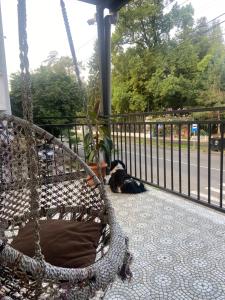 Giardino di Guest House Ok