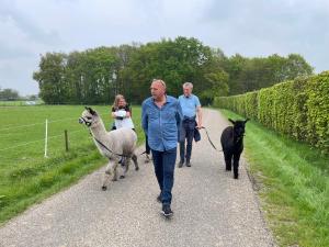 a group of people walking down a road with llamas at Koekwhouse Bed and Breakfast, Bierbrouwerij in Nispen