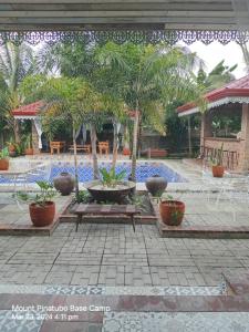 een binnenplaats met een zwembad met palmbomen en een fontein bij Mount Pinatubo Base Camp at Balai Hermogina in Santa Juliana