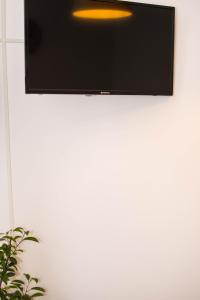 a television hanging on a white wall with a plant at Studio Sonia - Tordosan Central - #5 in Sibiu