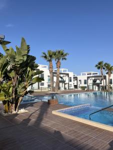 a swimming pool with palm trees next to a building at La Zenia in Playas de Orihuela