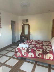 - une chambre avec un lit et un bureau dans l'établissement Stefanie Grace Paradise Inn, à Loboc