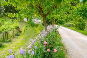a garden with flowers on the side of a road at Agriturismo Cuore Verde Olmo in Spello