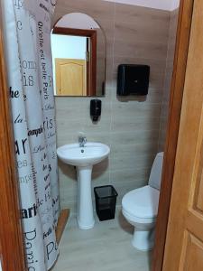 La salle de bains est pourvue d'un lavabo, de toilettes et d'un miroir. dans l'établissement Hotel Daniel, à Moukatcheve