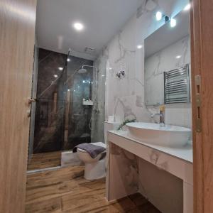 bagno con lavandino, doccia e servizi igienici di N&S Apartment A a Édessa