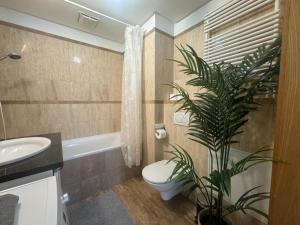 布達佩斯的住宿－K3，一间带卫生间和植物的浴室