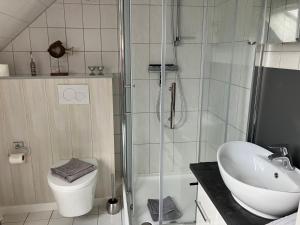 a bathroom with a shower and a sink and a toilet at Ferienwohnung Karen&Lemmi in Risum-Lindholm +16 photos