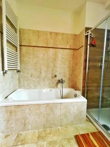uma casa de banho com banheira e chuveiro em Casa Carmine - Casa Vacanza em Colleberardi