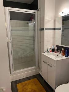 uma casa de banho com um chuveiro e um lavatório. em Appartement calme et ensoleillé em Hérouville-Saint-Clair