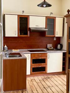 Kuchnia lub aneks kuchenny w obiekcie Apartamenty i Studia HERBARIUM