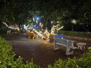 une statue d'ours en peluche assise sous un arbre la nuit dans l'établissement Renewed Jadeshwar Farm Resort, à Sasan Gir