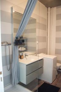 een badkamer met een wastafel, een toilet en een spiegel bij Studio calme et cosy au Andelys pour 2 personnes in Les Andelys