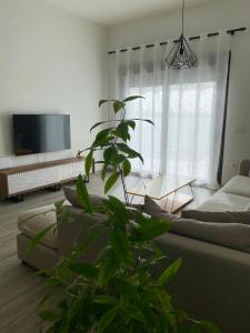 a living room with a couch and a plant at Casa de Goya in Argés