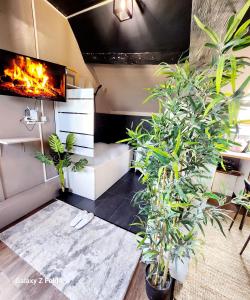 a living room with potted plants and a fireplace at Star Wars + Jacuzzi à 10 minutes de Disneyland in Condé-Sainte-Libiaire