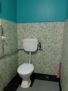 a bathroom with a toilet and a blue wall at Barook Chalet in Mersing