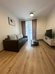 TV a/nebo společenská místnost v ubytování Apartament ŻELAZNY HGS Home