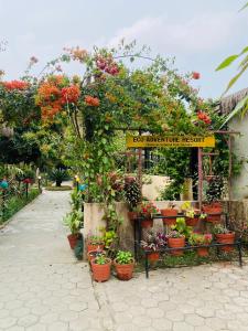 ein Blumenladen mit Pflanzen und Blumen in Töpfen in der Unterkunft Eco Adventure Resort in Sauraha