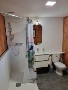 uma casa de banho com uma cortina de chuveiro e um WC em Gîte Les Plantis - Cognac em Cherves-de-Cognac