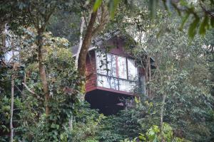 Taman di luar TREE6 WAYANAD